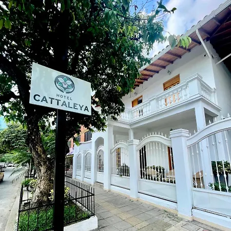 Hotel Cattaleya City-2